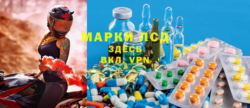 ЛСД экстази ecstasy  OMG как зайти  Будённовск 